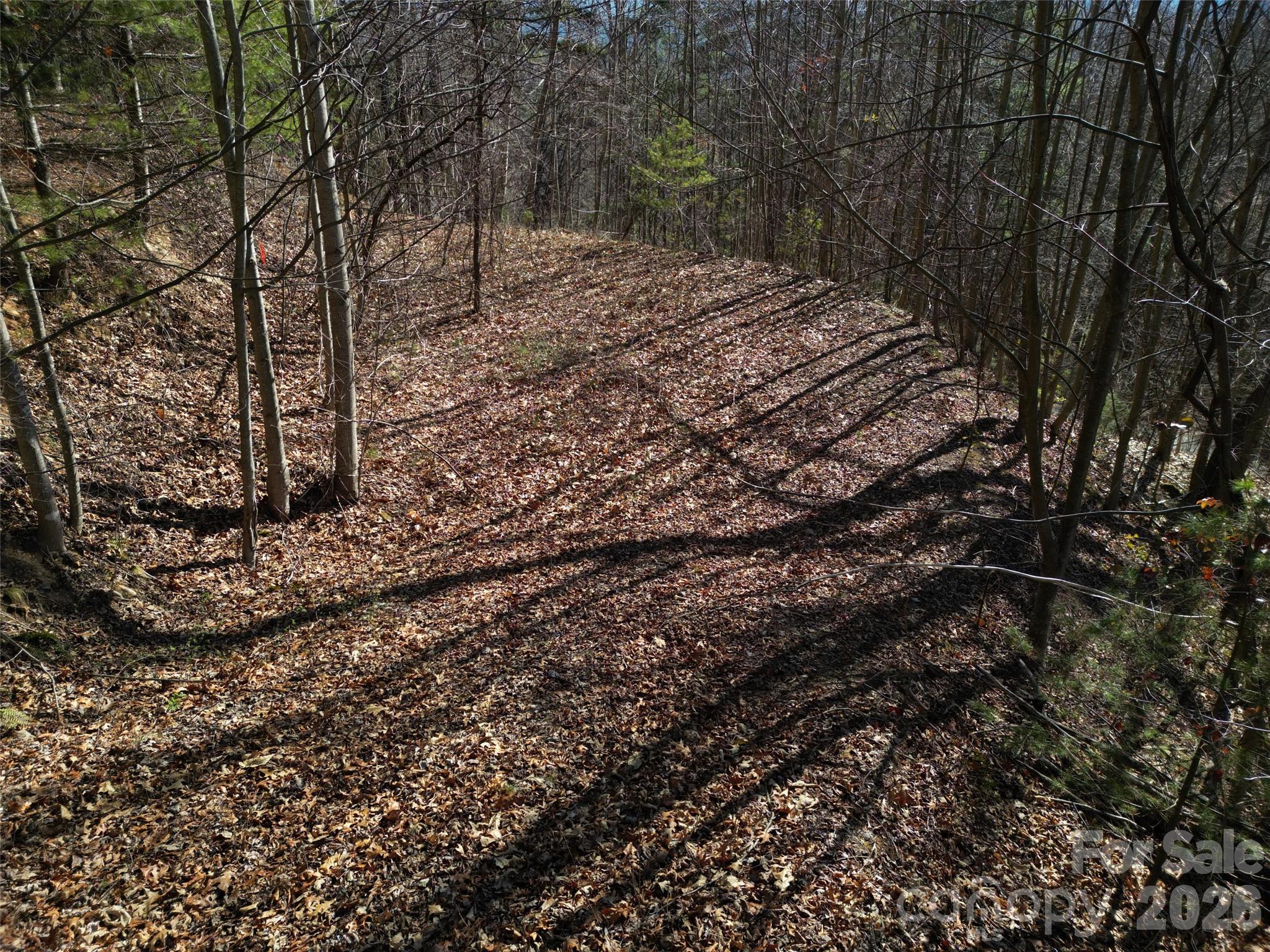 1165 Scenic Circle Waynesville NC 28786
