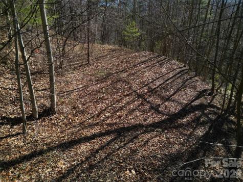1165 Scenic Circle Waynesville NC 28786