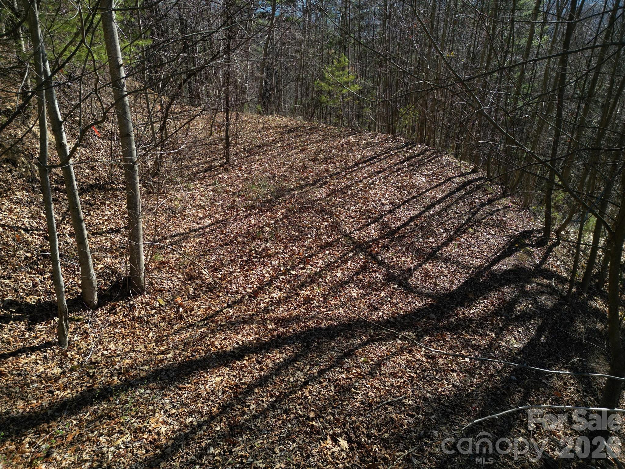 1165 Scenic Circle Waynesville NC 28786
