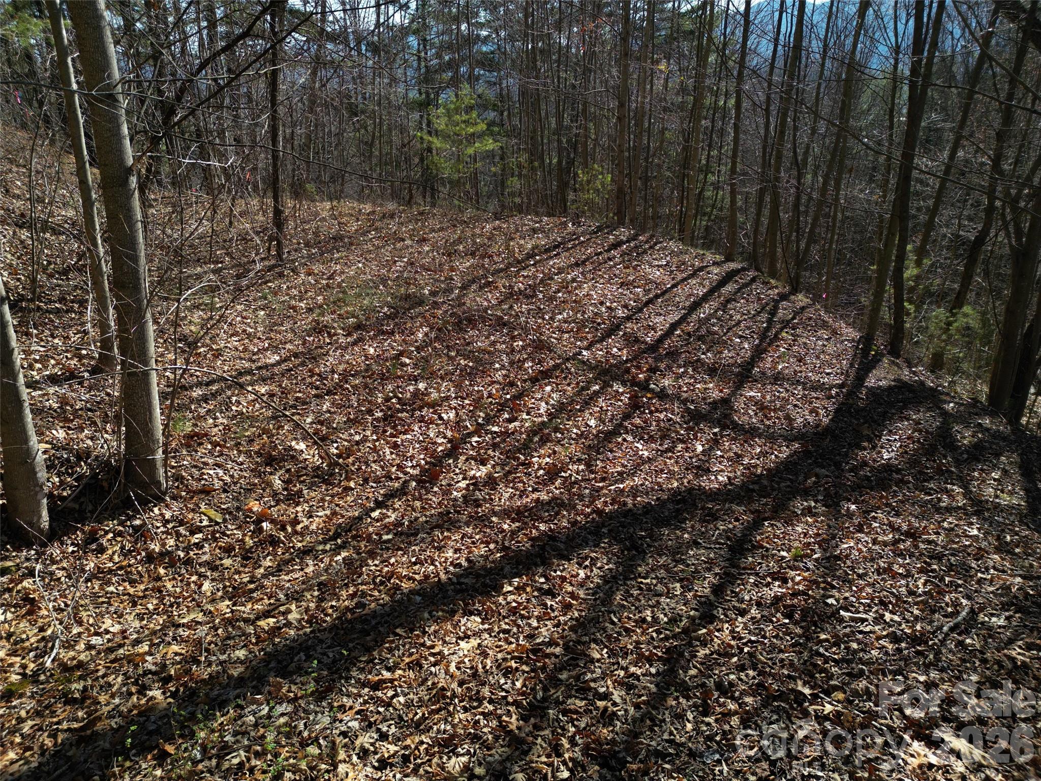 1165 Scenic Circle Waynesville NC 28786