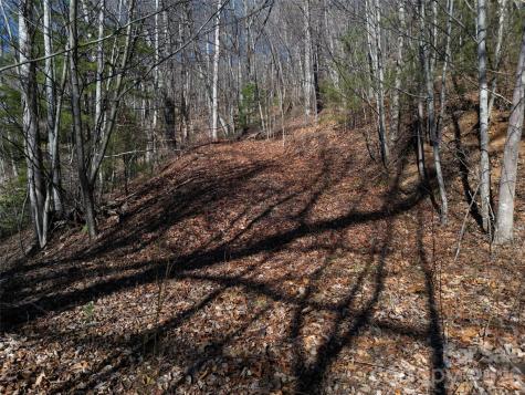1165 Scenic Circle Waynesville NC 28786