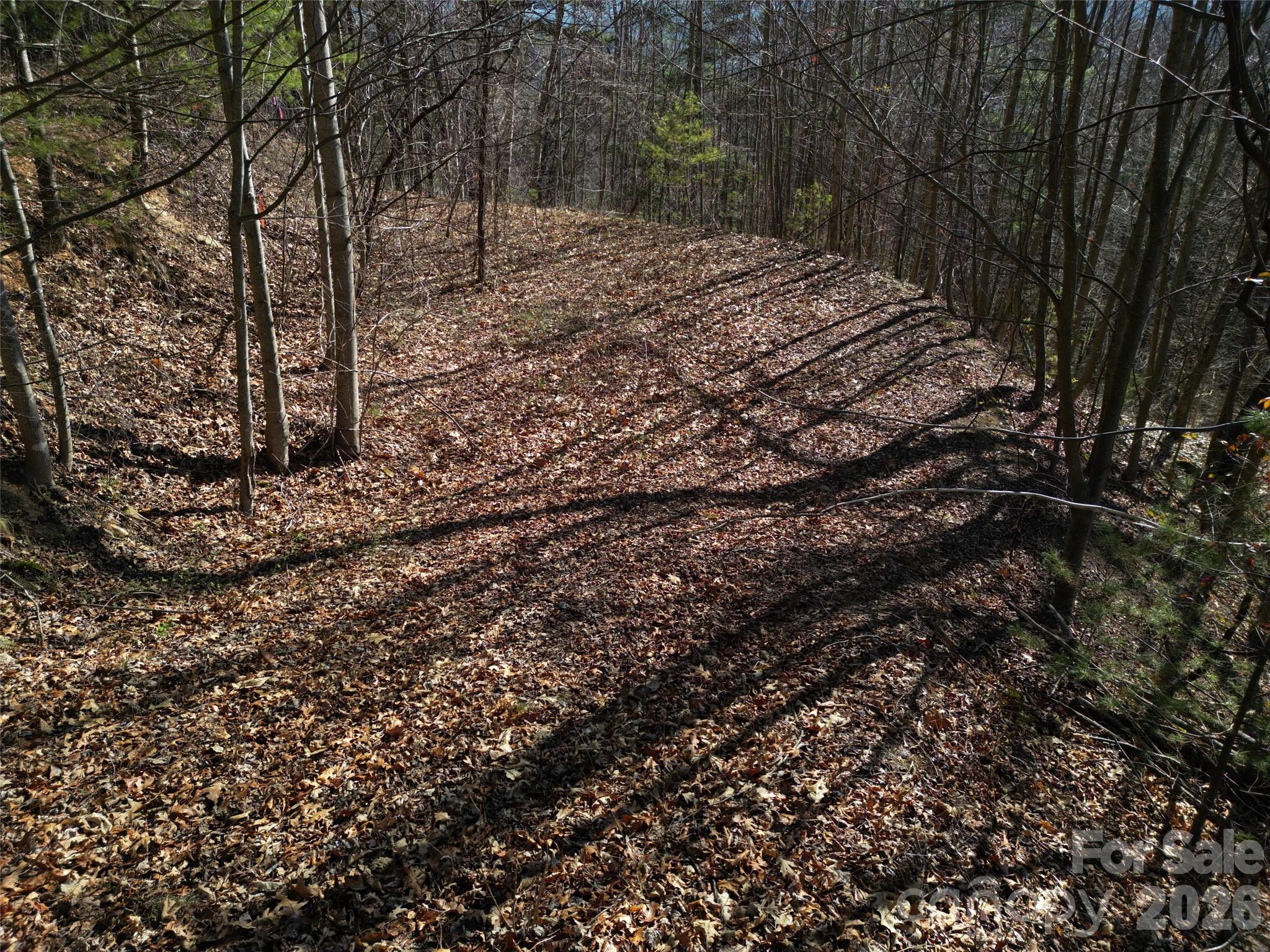 1165 Scenic Circle Waynesville NC 28786