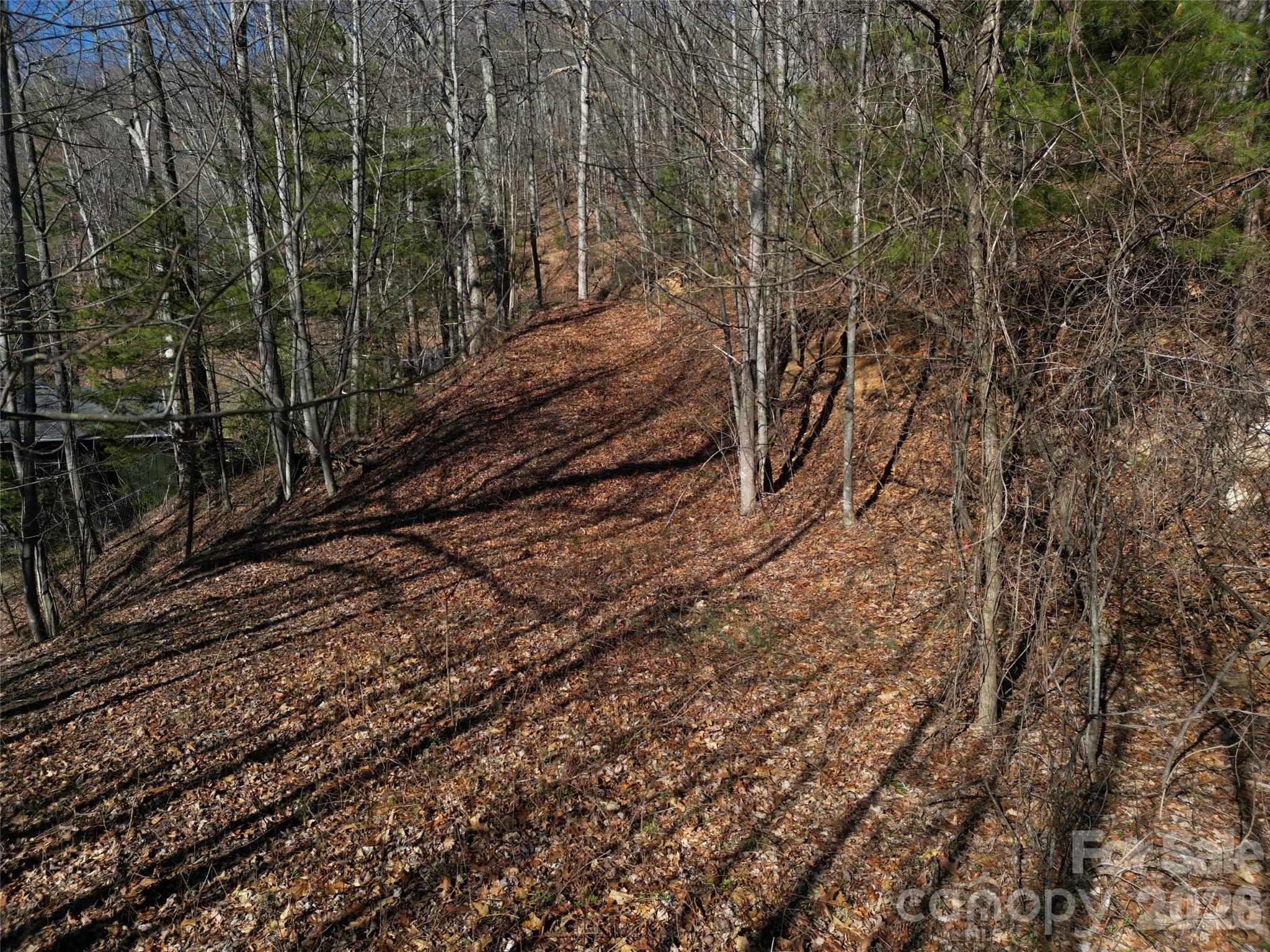 1165 Scenic Circle Waynesville NC 28786