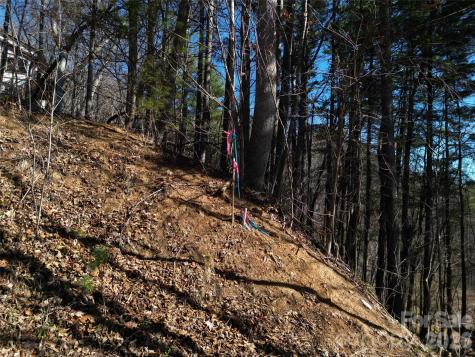 1165 Scenic Circle Waynesville NC 28786