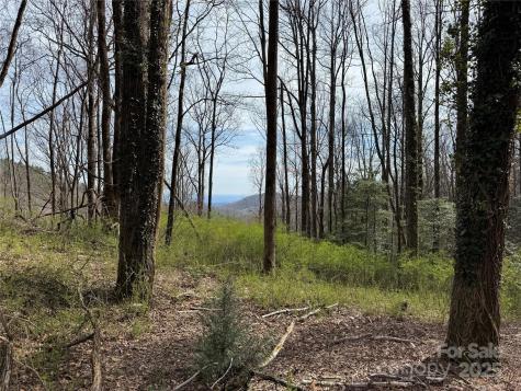 L8 Black Bear Court Sapphire NC 28774