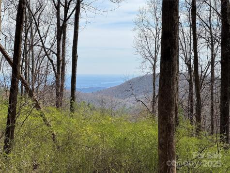 L8 Black Bear Court Sapphire NC 28774