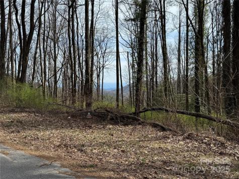 L8 Black Bear Court Sapphire NC 28774