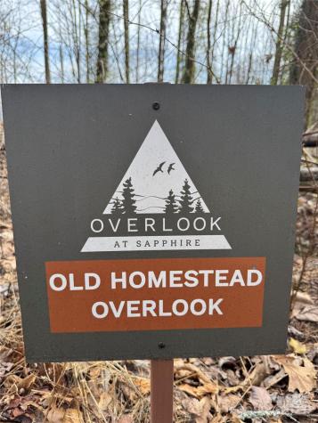 L8 Black Bear Court Sapphire NC 28774