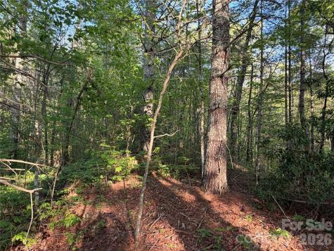 000 Howard Edwards Road Robbinsville NC 28771