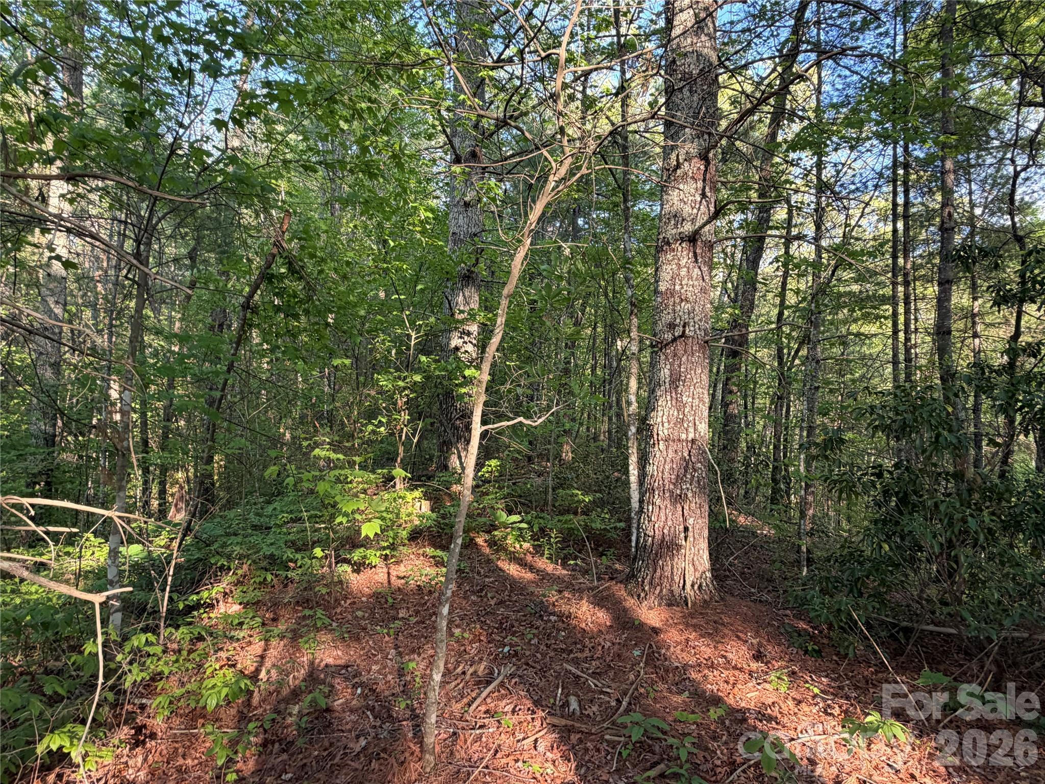 000 Howard Edwards Road Robbinsville NC 28771
