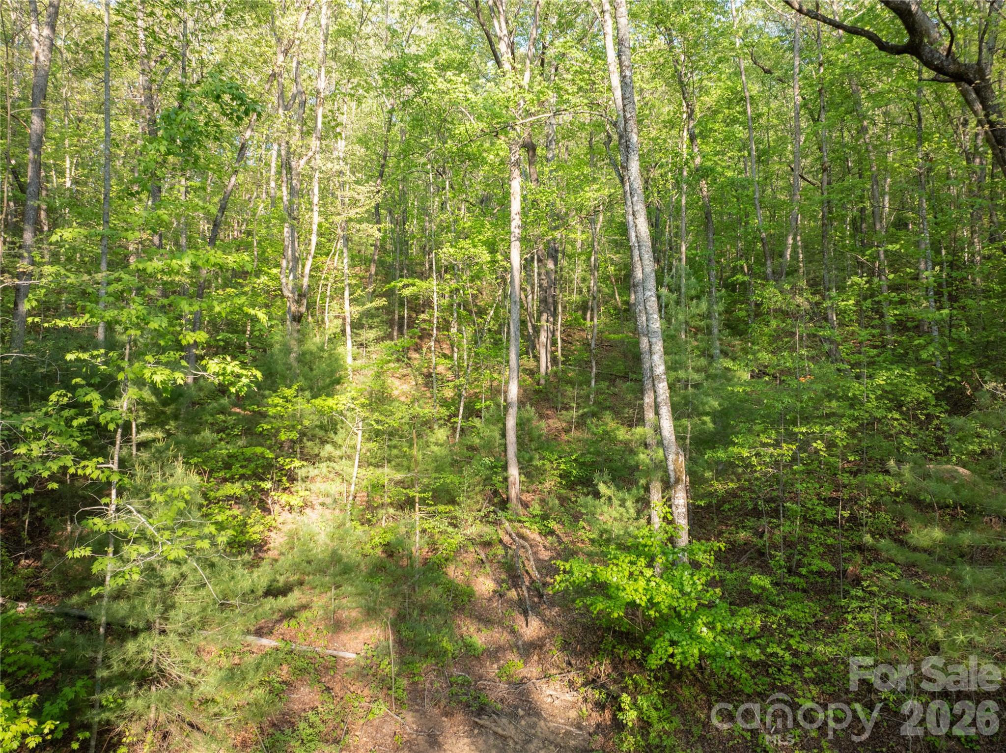 000 Howard Edwards Road Robbinsville NC 28771