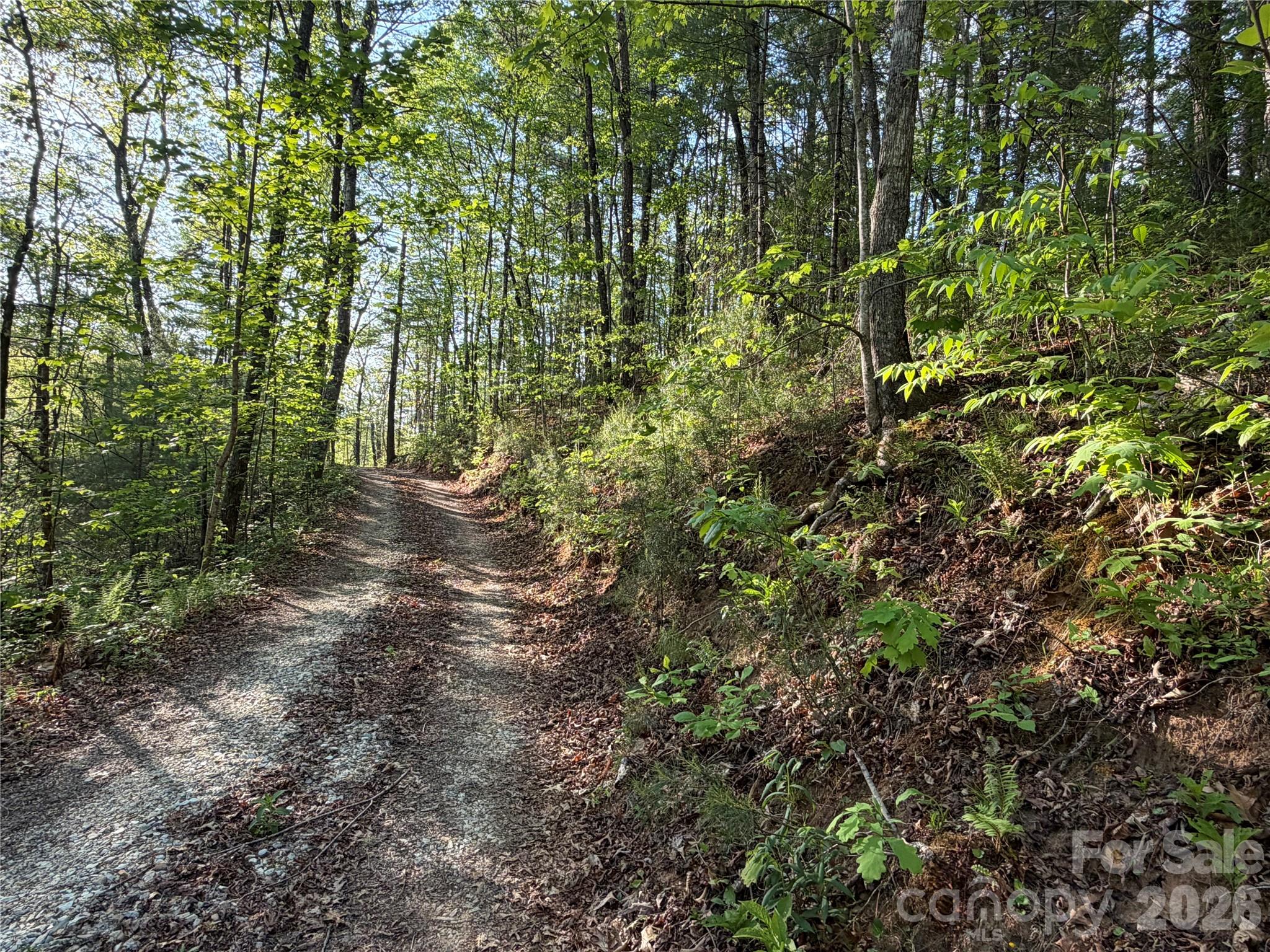 000 Howard Edwards Road Robbinsville NC 28771