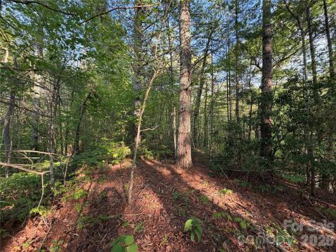 000 Howard Edwards Road Robbinsville NC 28771
