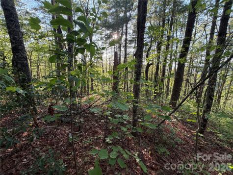 000 Howard Edwards Road Robbinsville NC 28771