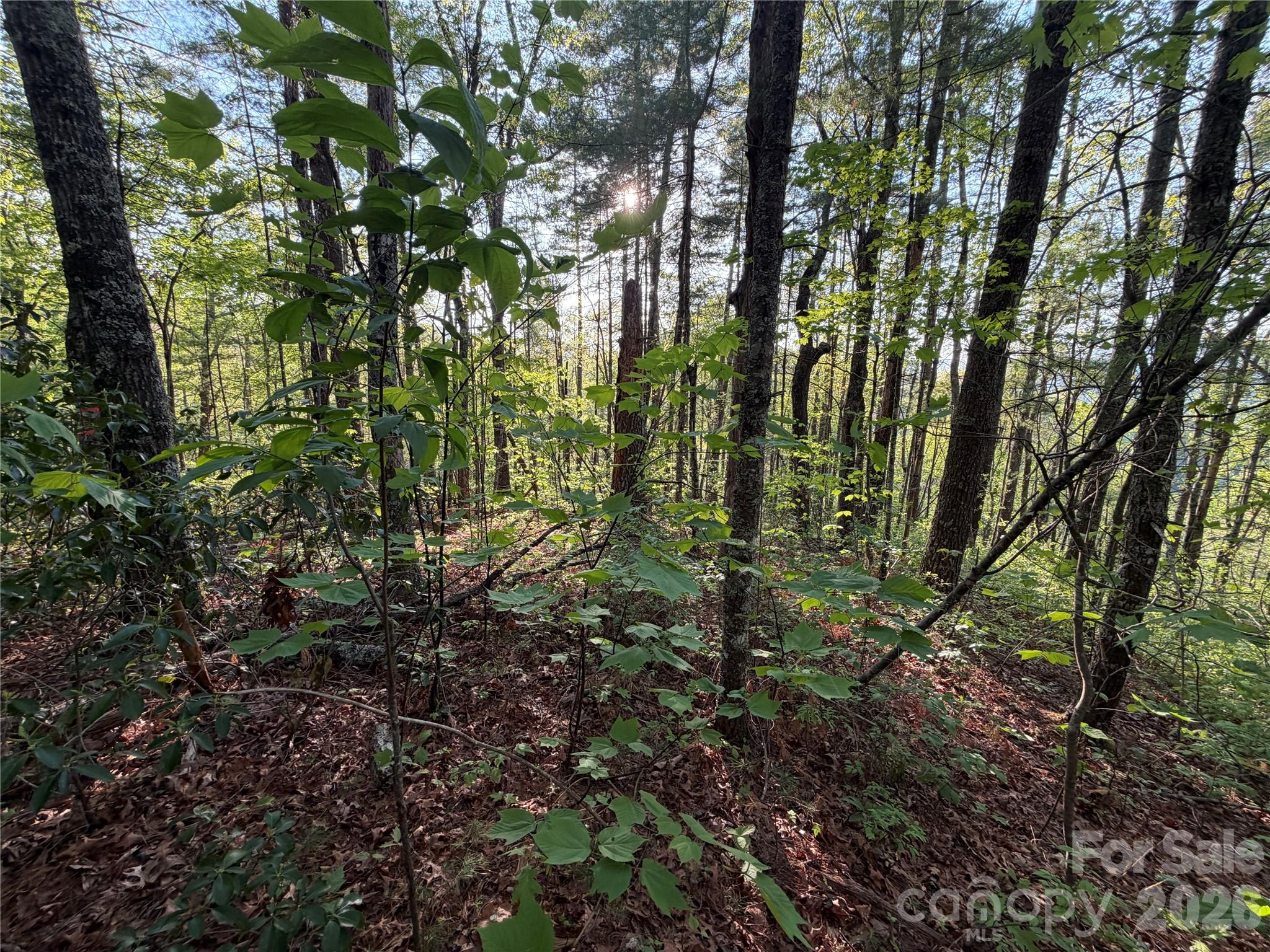 000 Howard Edwards Road Robbinsville NC 28771