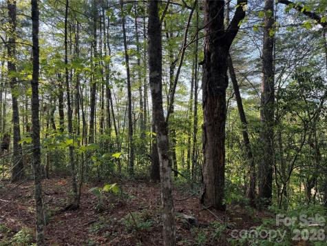 000 Howard Edwards Road Robbinsville NC 28771