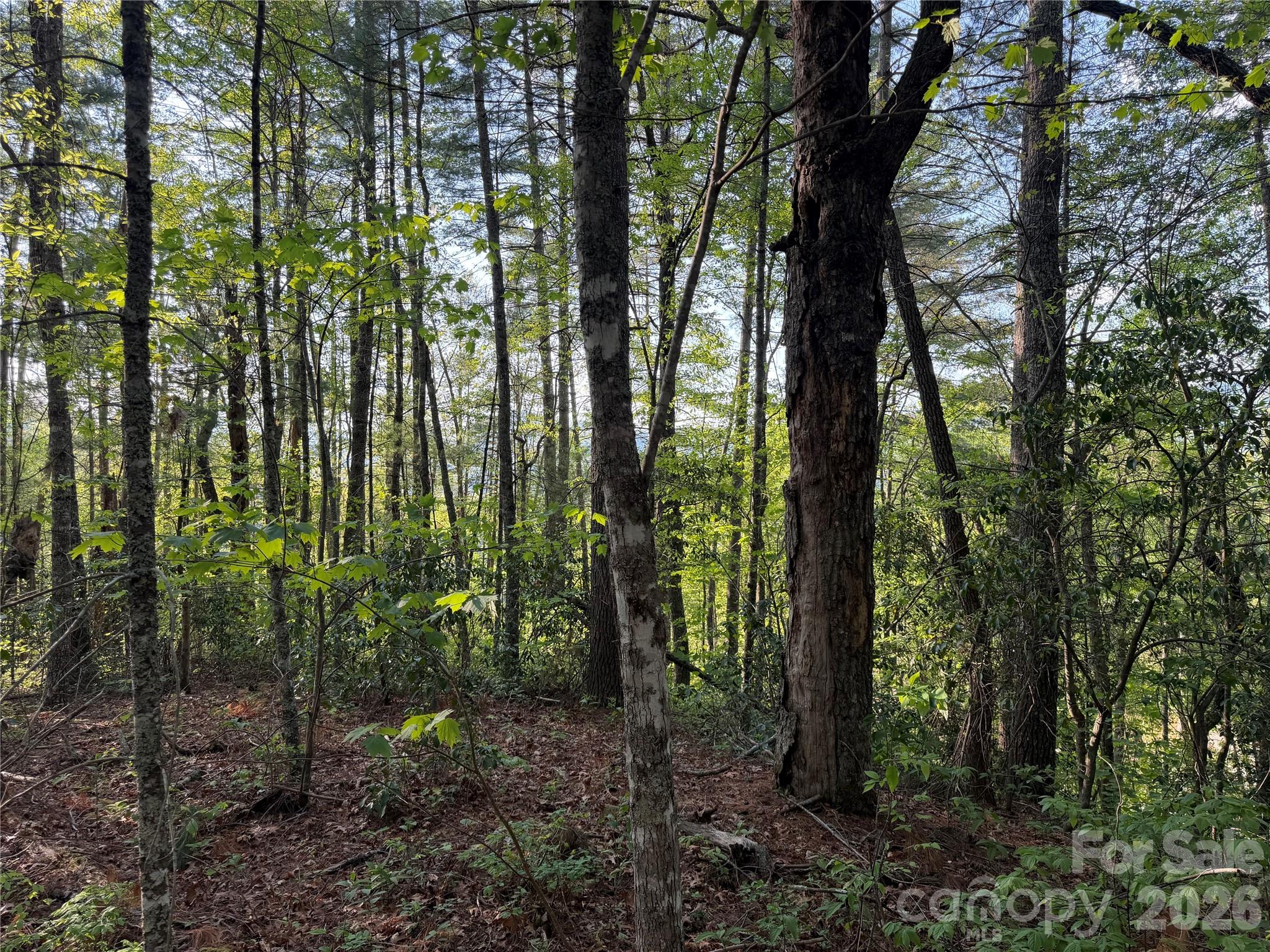 000 Howard Edwards Road Robbinsville NC 28771