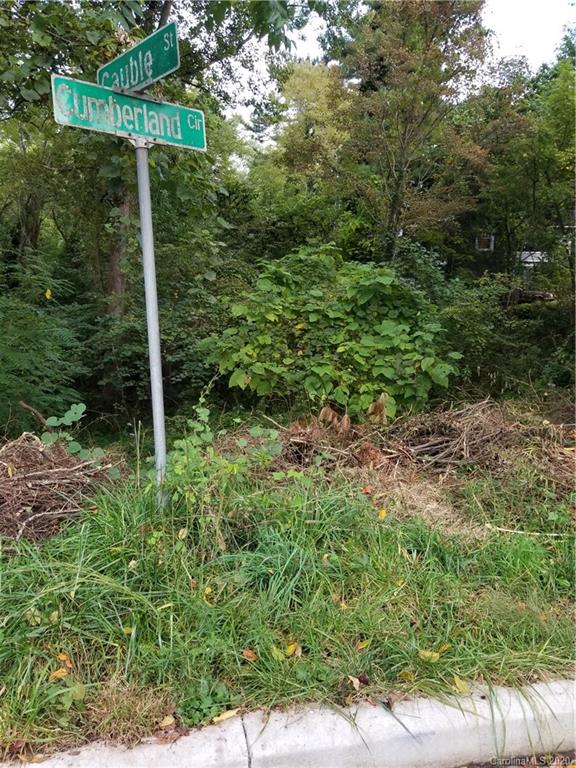 23 Cumberland Circle Asheville NC 28801