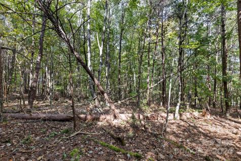 3662 Hickory Highway Statesville NC 28677