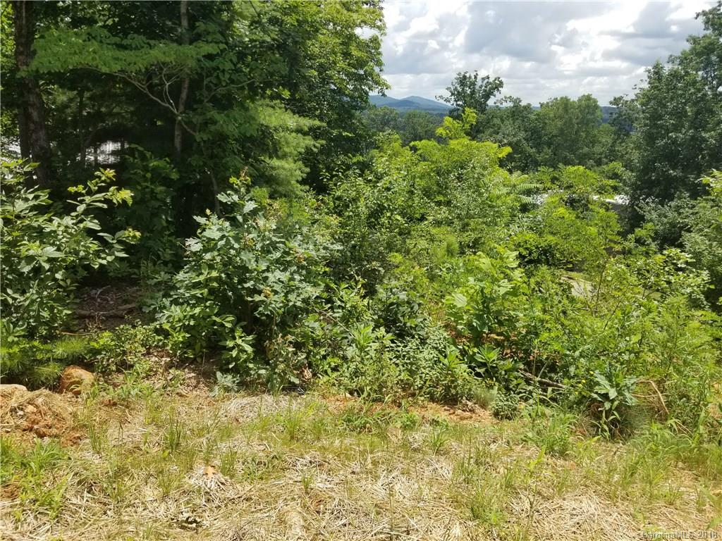 9 Samuel Ashe Drive Asheville NC 28805