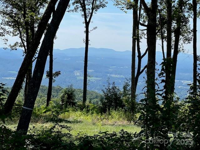 462 E Garden Trail Hendersonville NC 28792