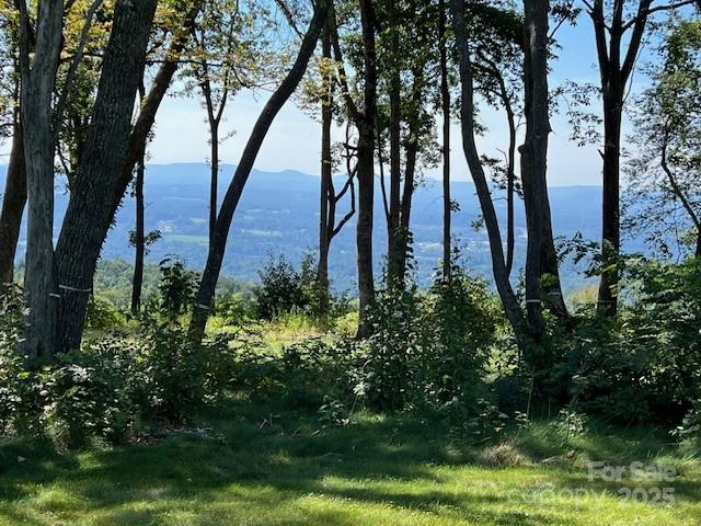 462 E Garden Trail Hendersonville NC 28792
