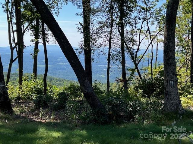 462 E Garden Trail Hendersonville NC 28792