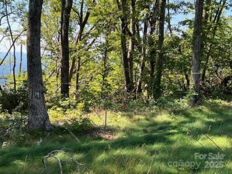 462 E Garden Trail Hendersonville NC 28792