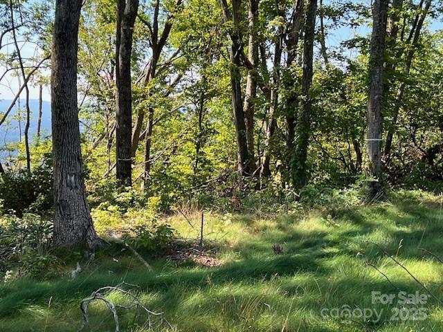462 E Garden Trail Hendersonville NC 28792