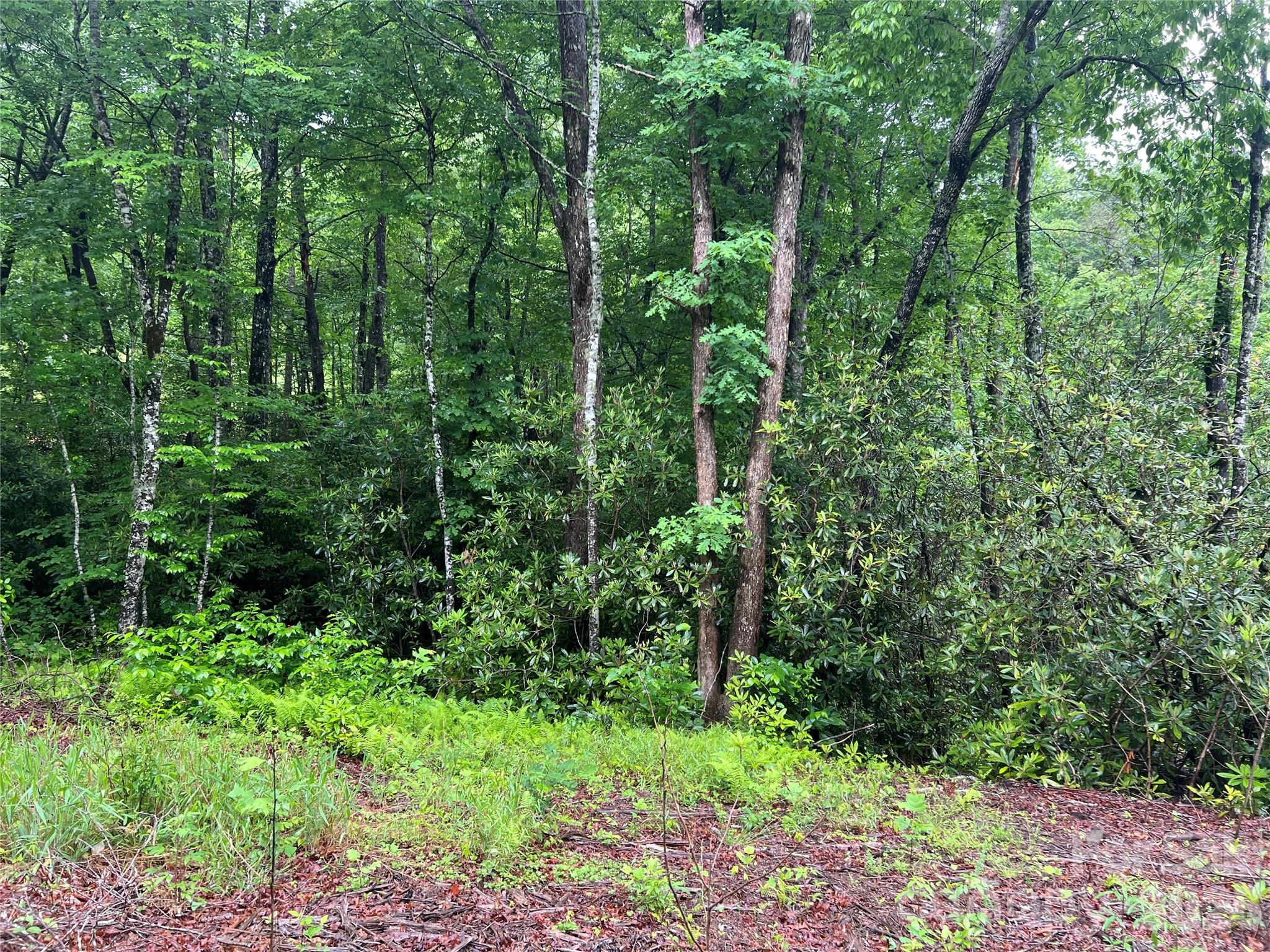 Sylva NC 28779