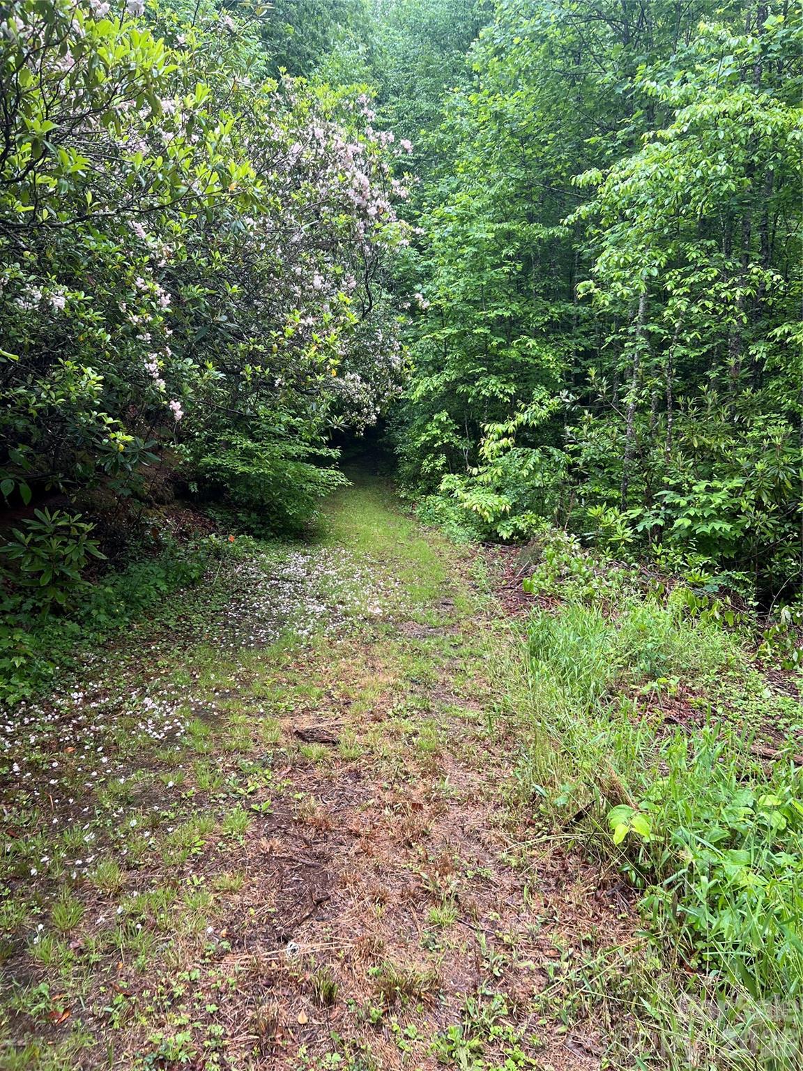 Sylva NC 28779