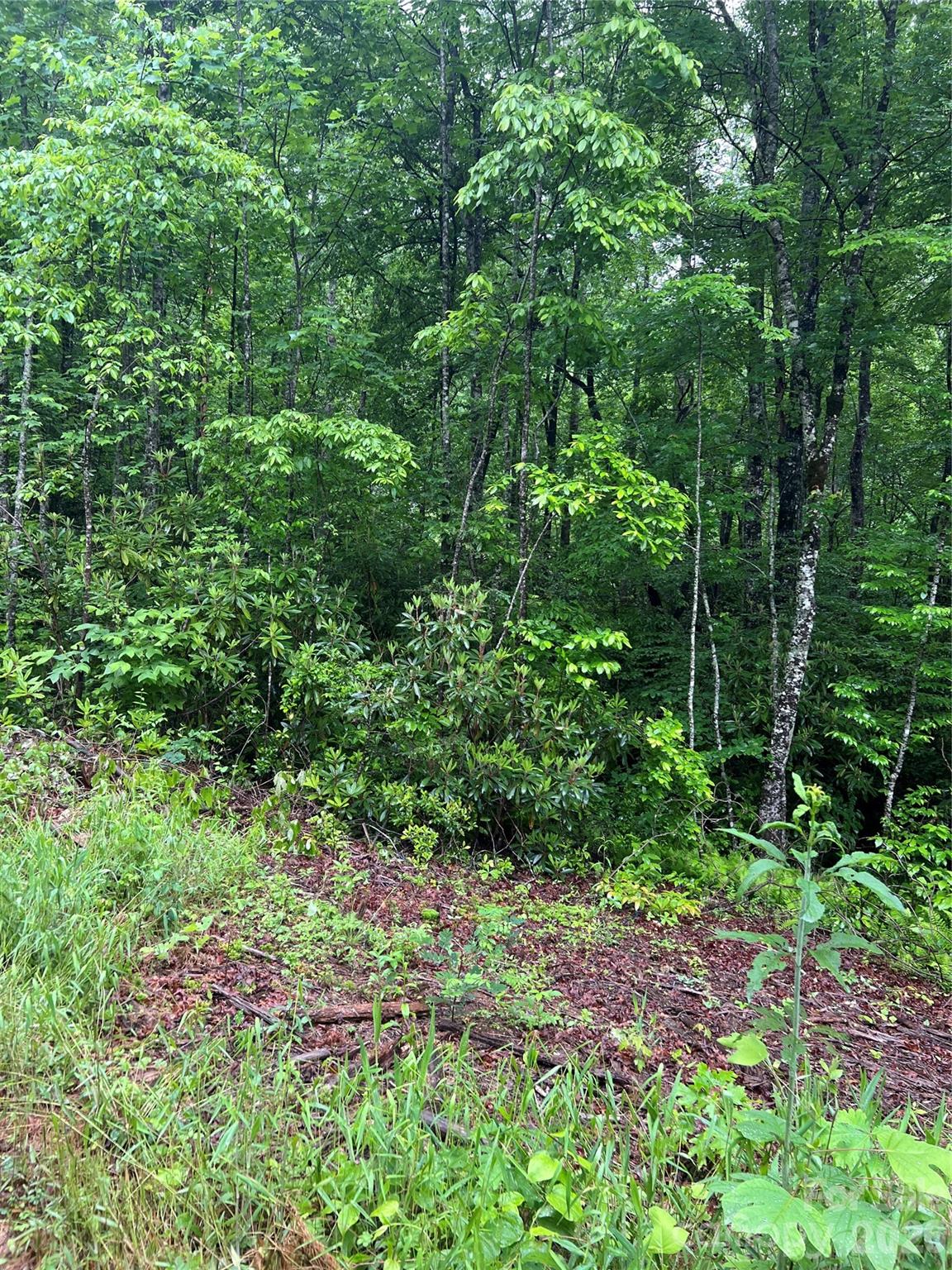 Sylva NC 28779