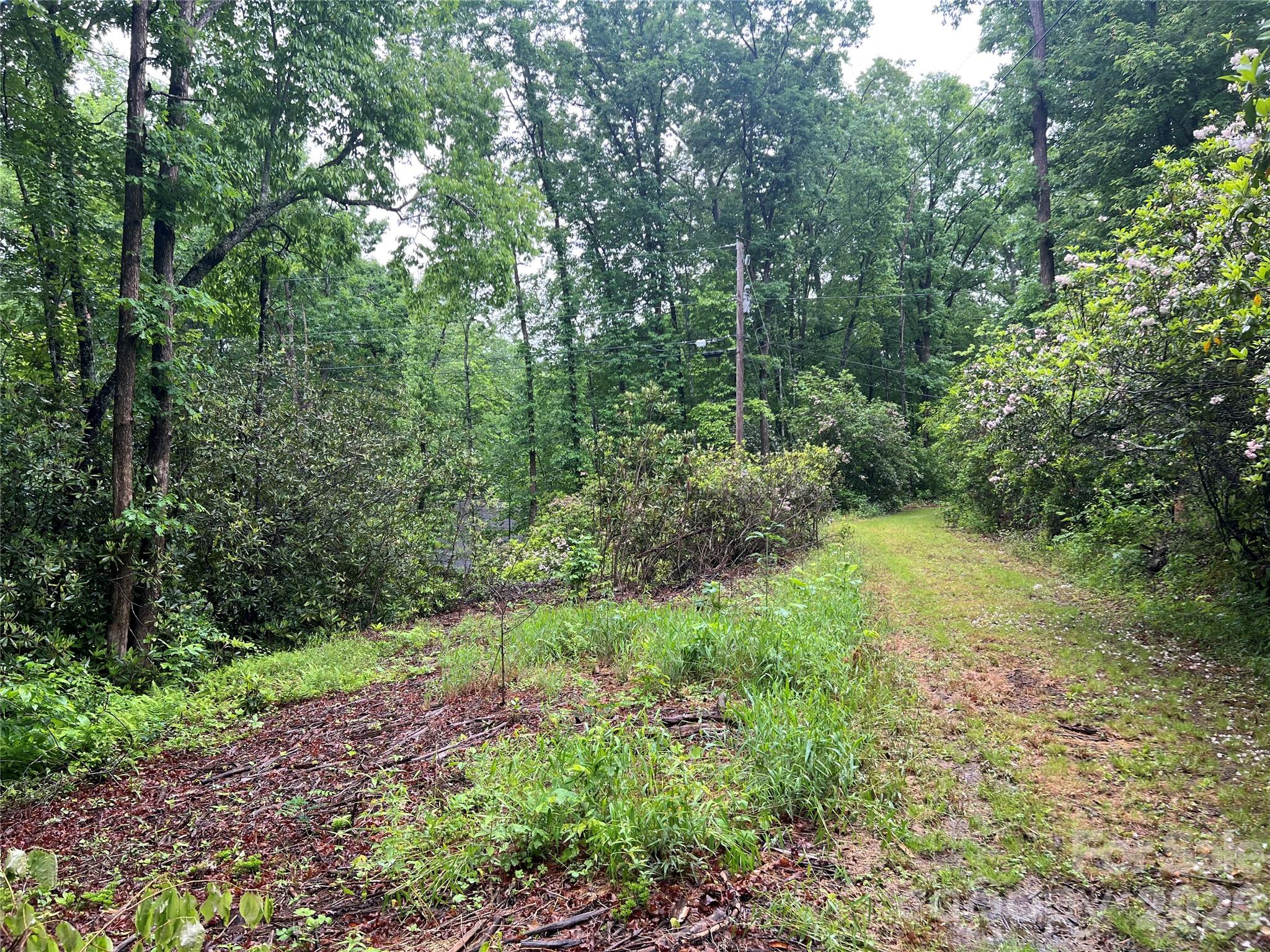 Sylva NC 28779