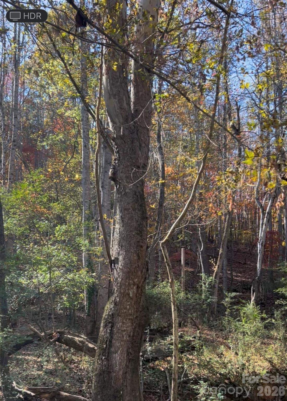 0 Snuggs Park Road Albemarle NC 28001