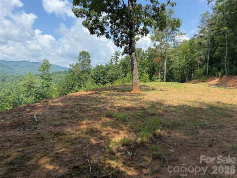 Tbd Lazy Bear Lane Purlear NC 28665