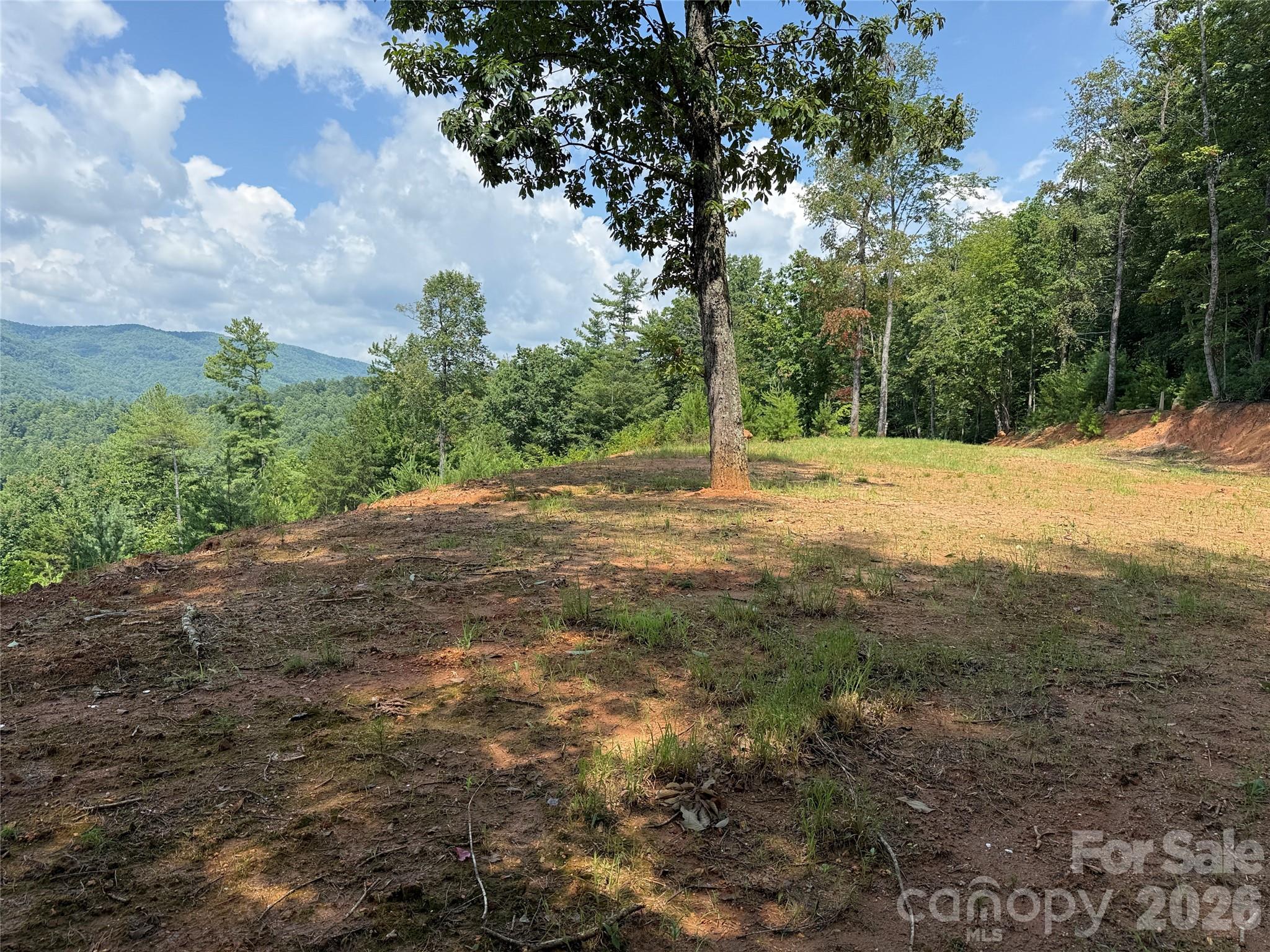 Tbd Lazy Bear Lane Purlear NC 28665