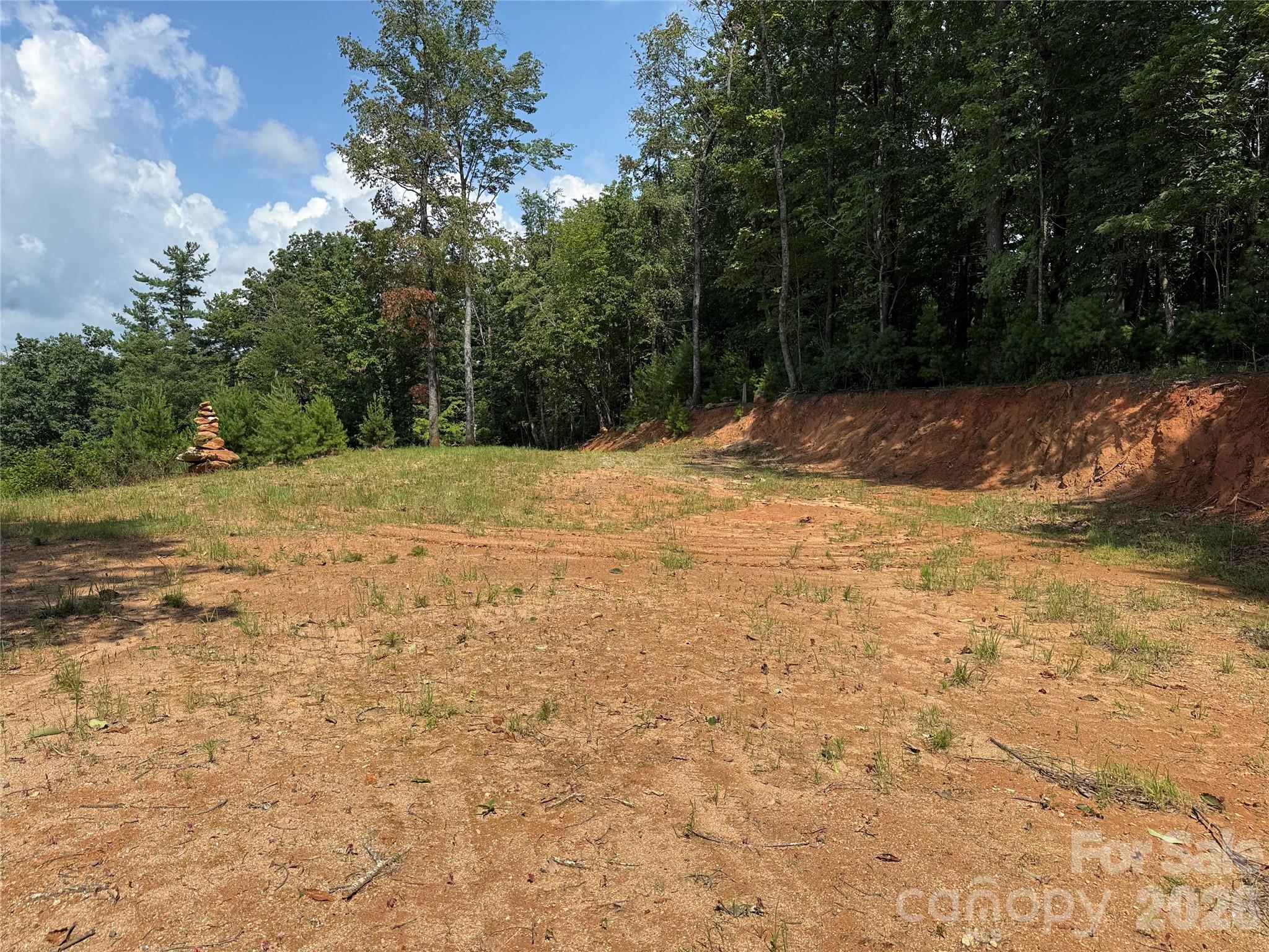 Tbd Lazy Bear Lane Purlear NC 28665