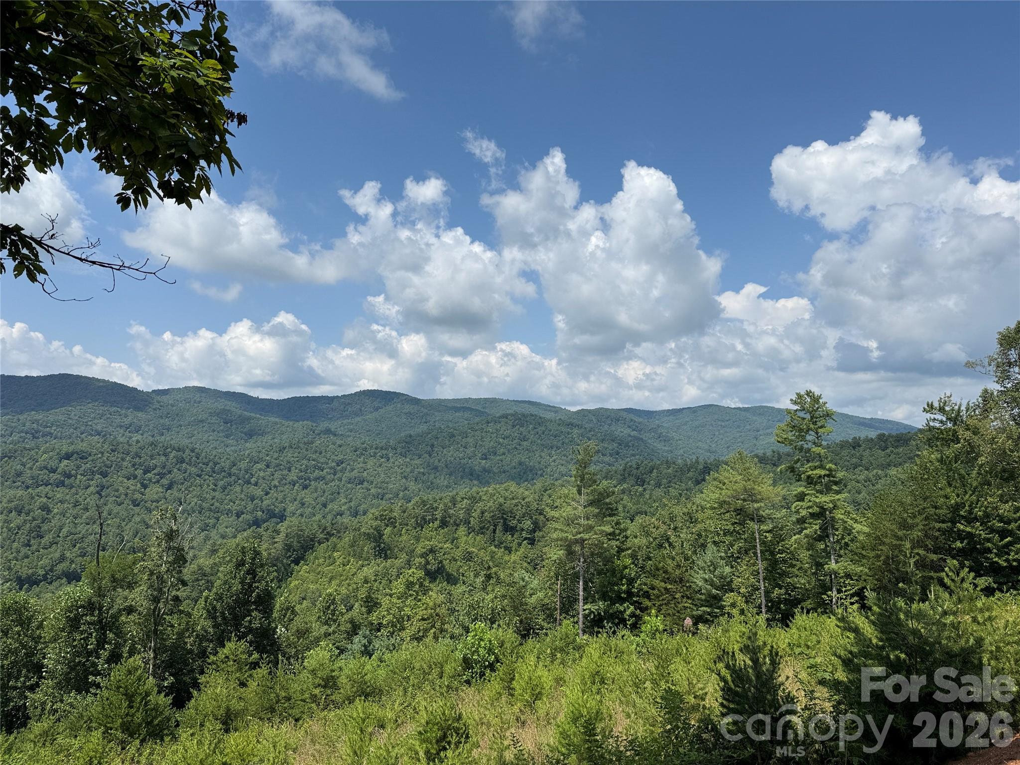 Tbd Lazy Bear Lane Purlear NC 28665