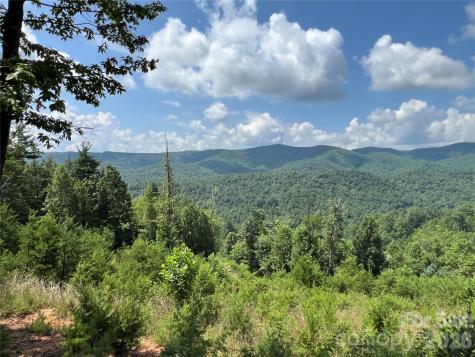 Tbd Lazy Bear Lane Purlear NC 28665
