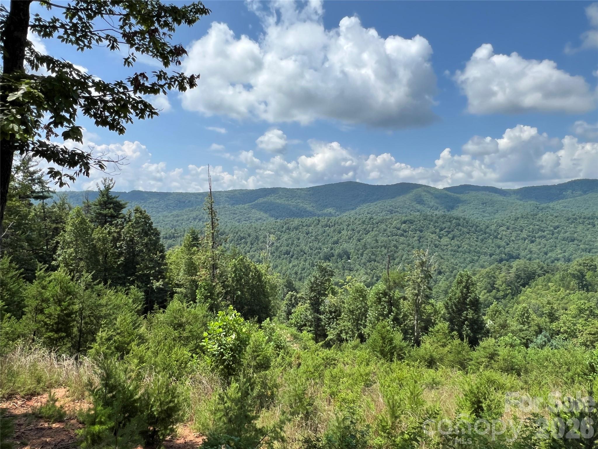 Tbd Lazy Bear Lane Purlear NC 28665