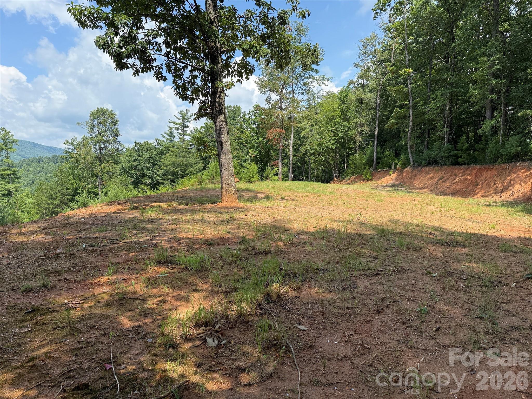 Tbd Lazy Bear Lane Purlear NC 28665