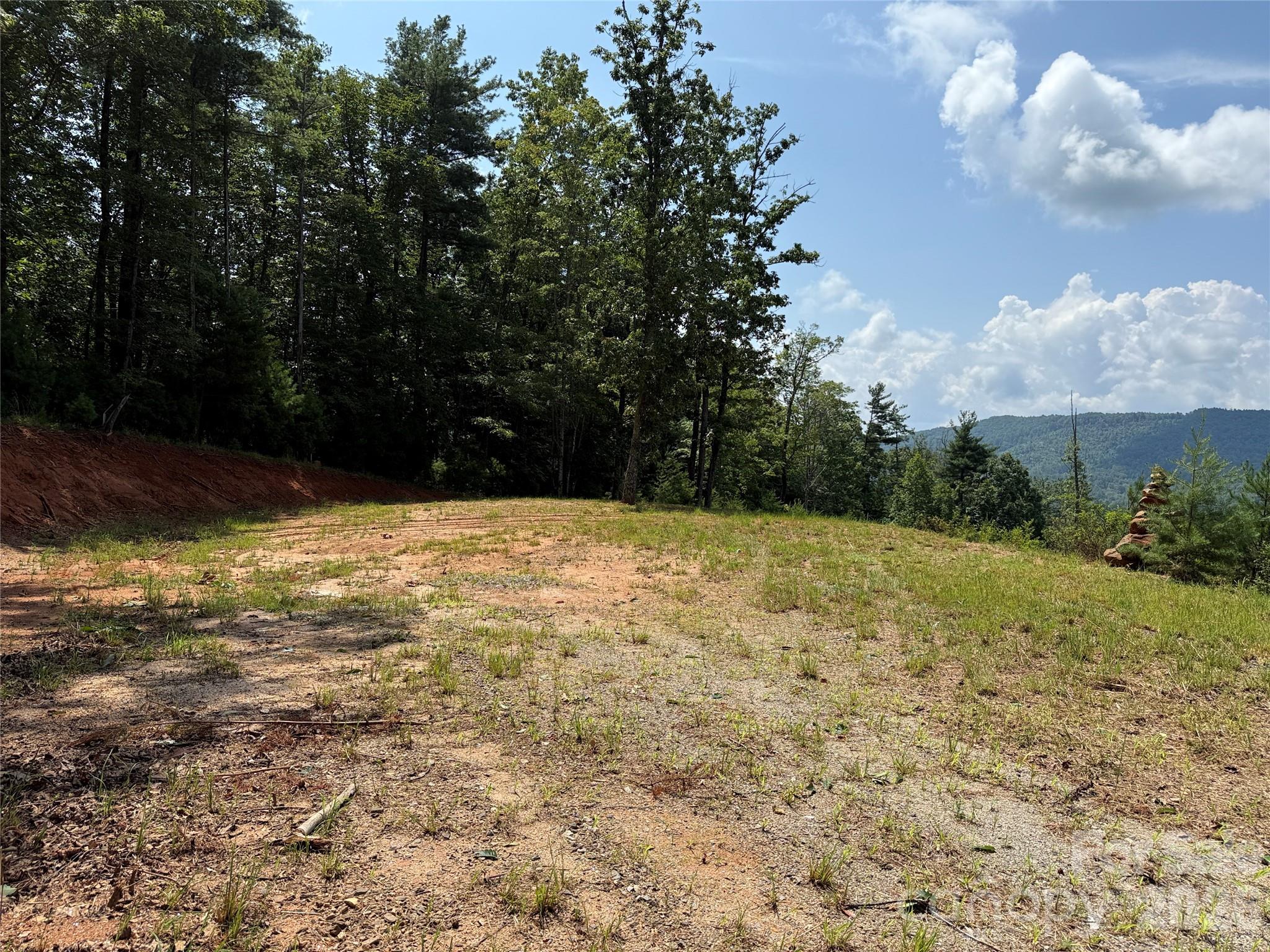 Tbd Lazy Bear Lane Purlear NC 28665