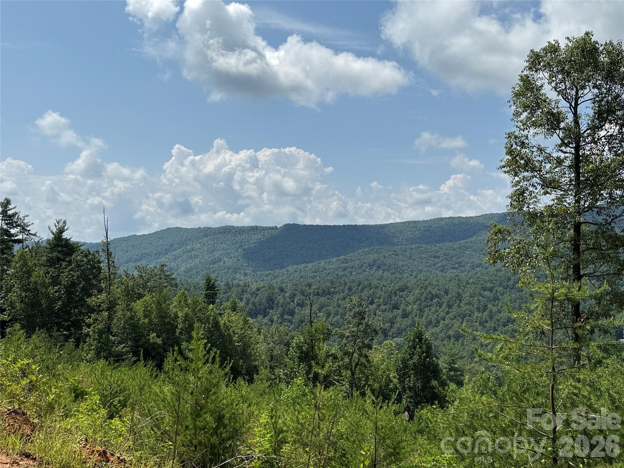 Tbd Lazy Bear Lane Purlear NC 28665