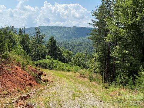 Tbd Lazy Bear Lane Purlear NC 28665