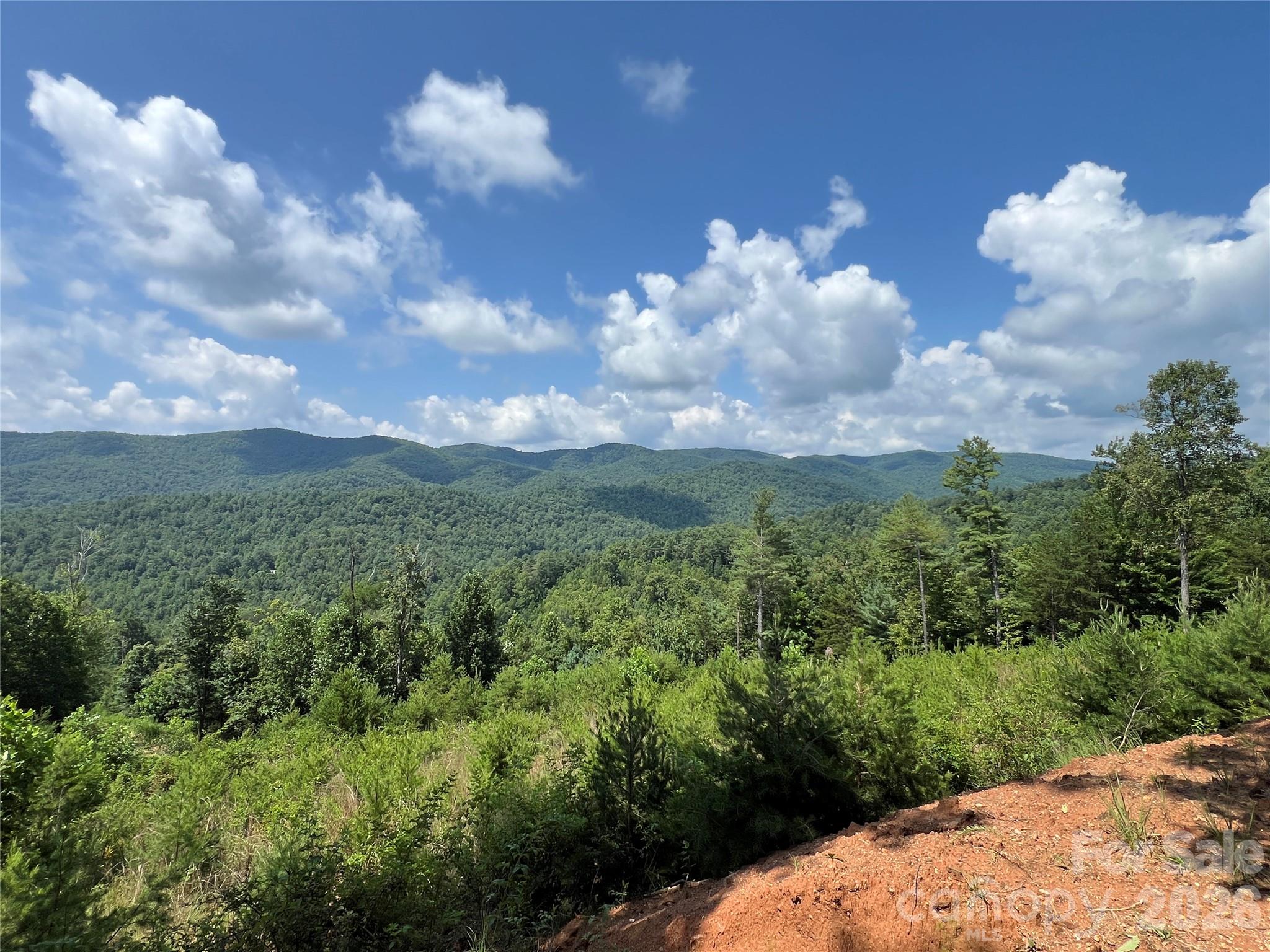 Tbd Lazy Bear Lane Purlear NC 28665