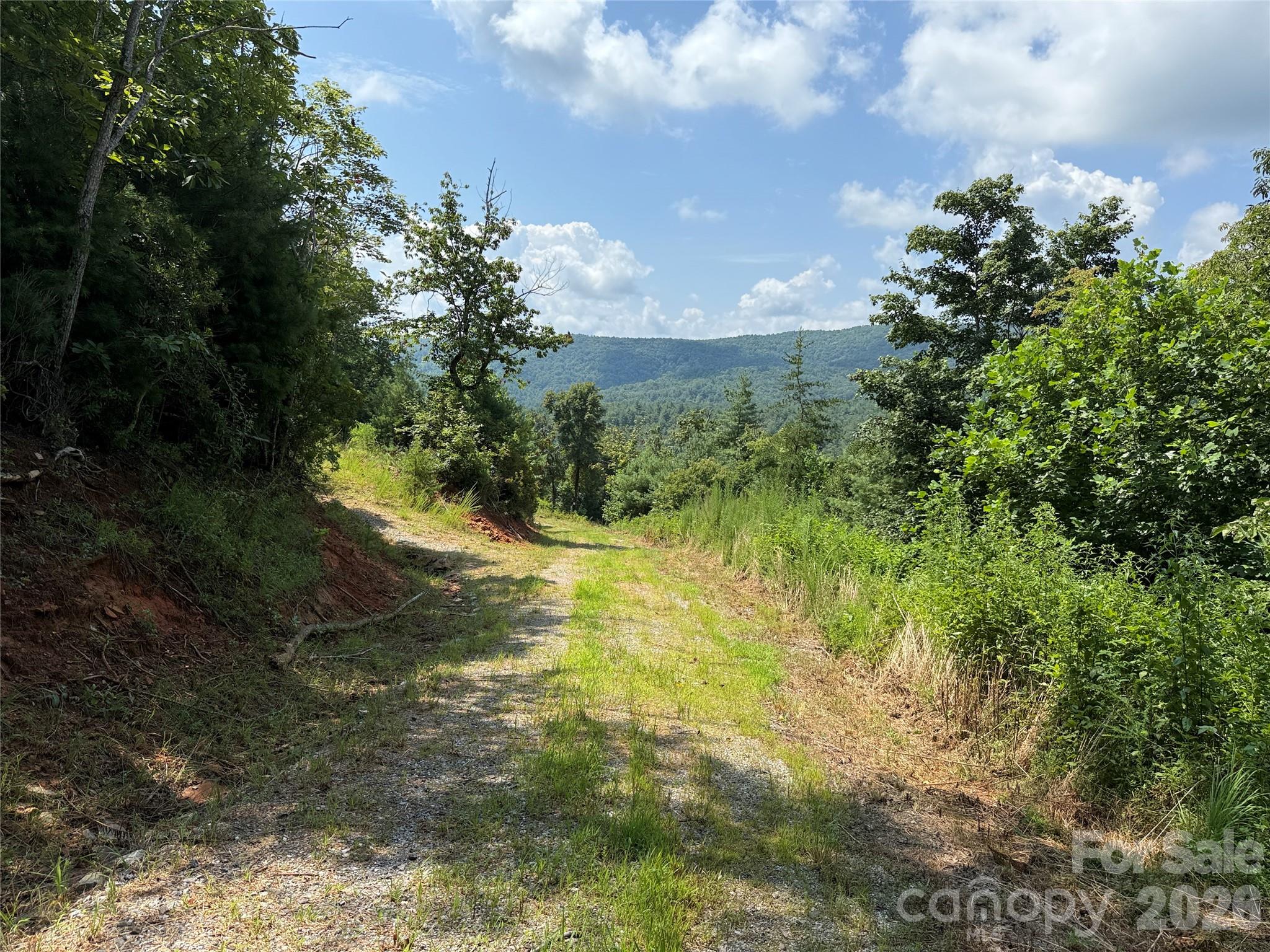 Tbd Lazy Bear Lane Purlear NC 28665