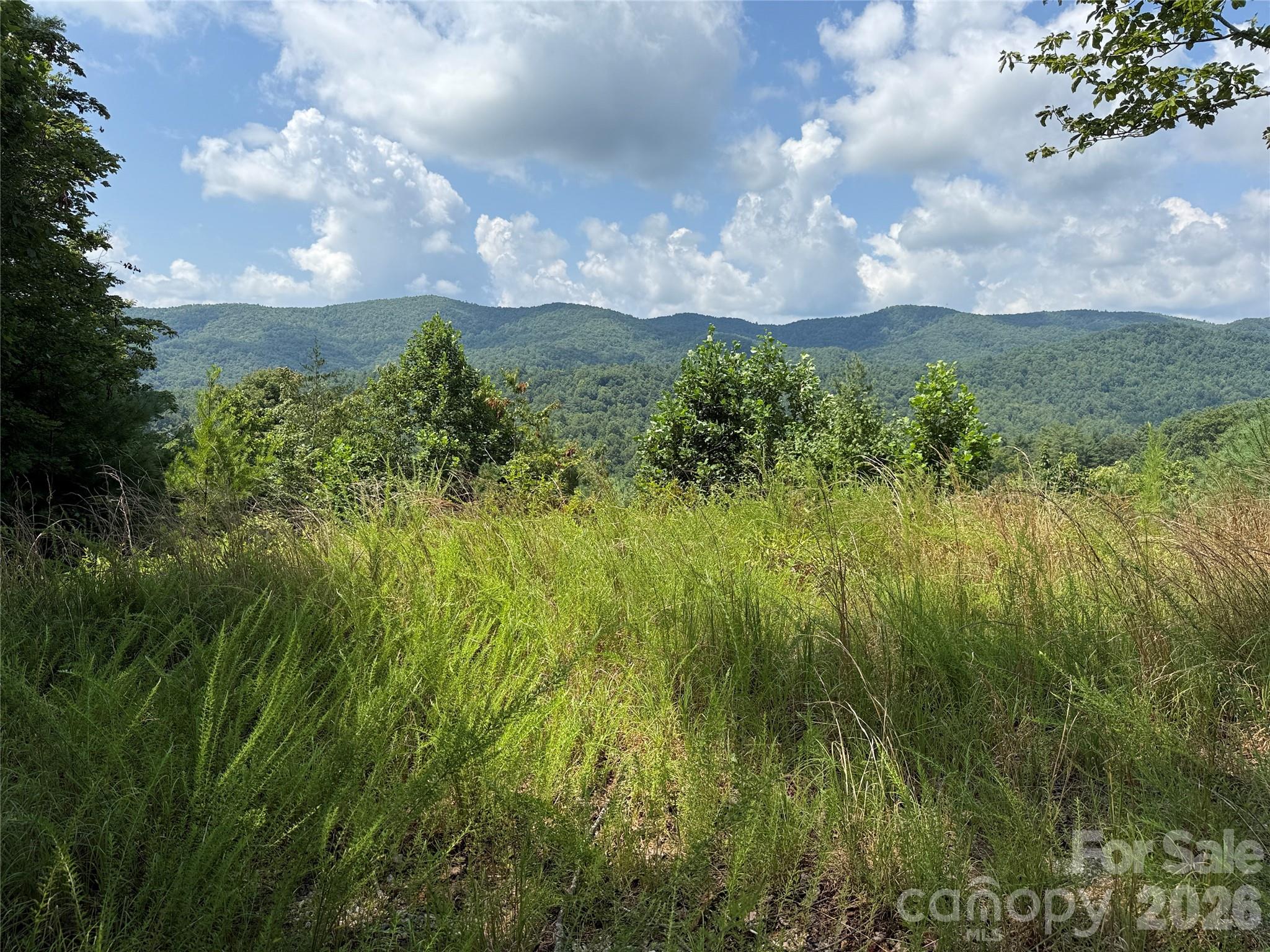 Tbd Lazy Bear Lane Purlear NC 28665