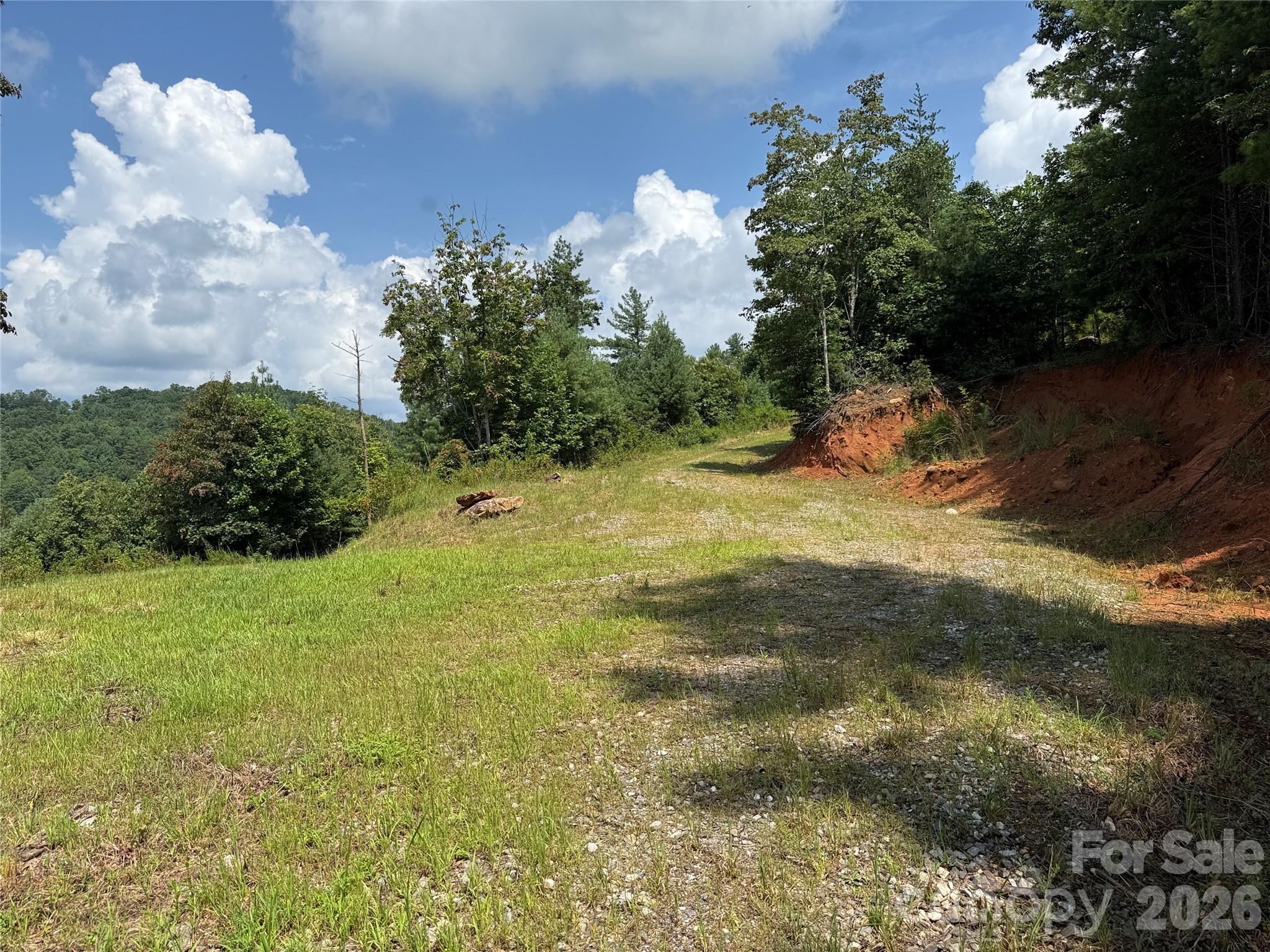 Tbd Lazy Bear Lane Purlear NC 28665