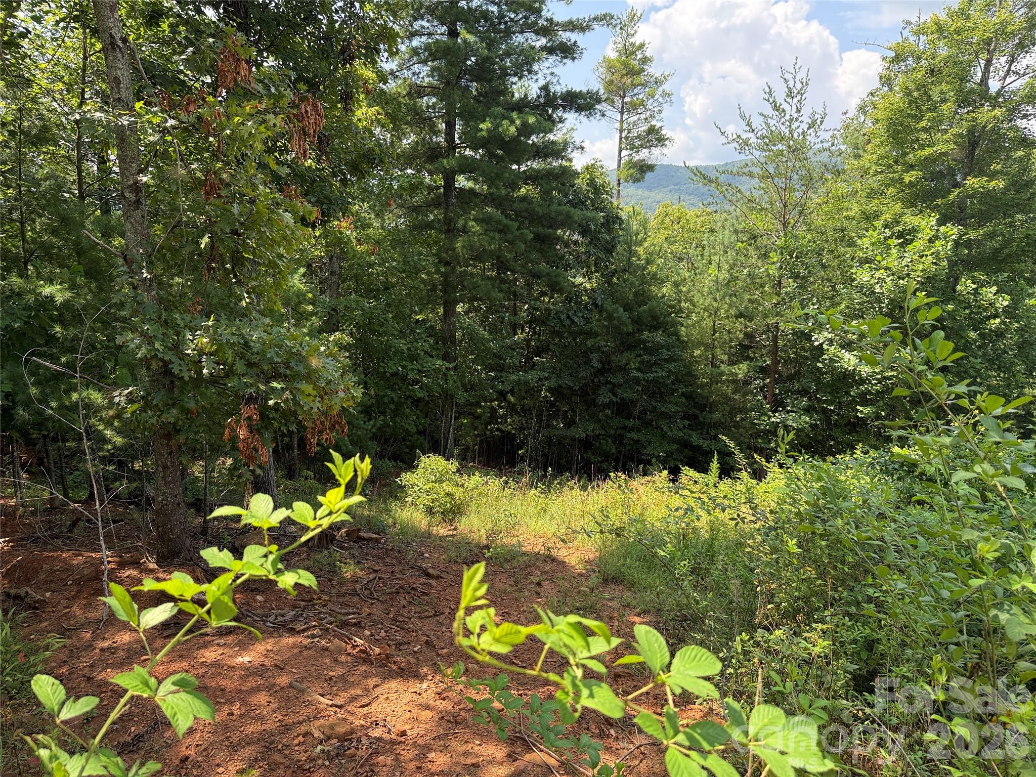 Tbd Lazy Bear Lane Purlear NC 28665