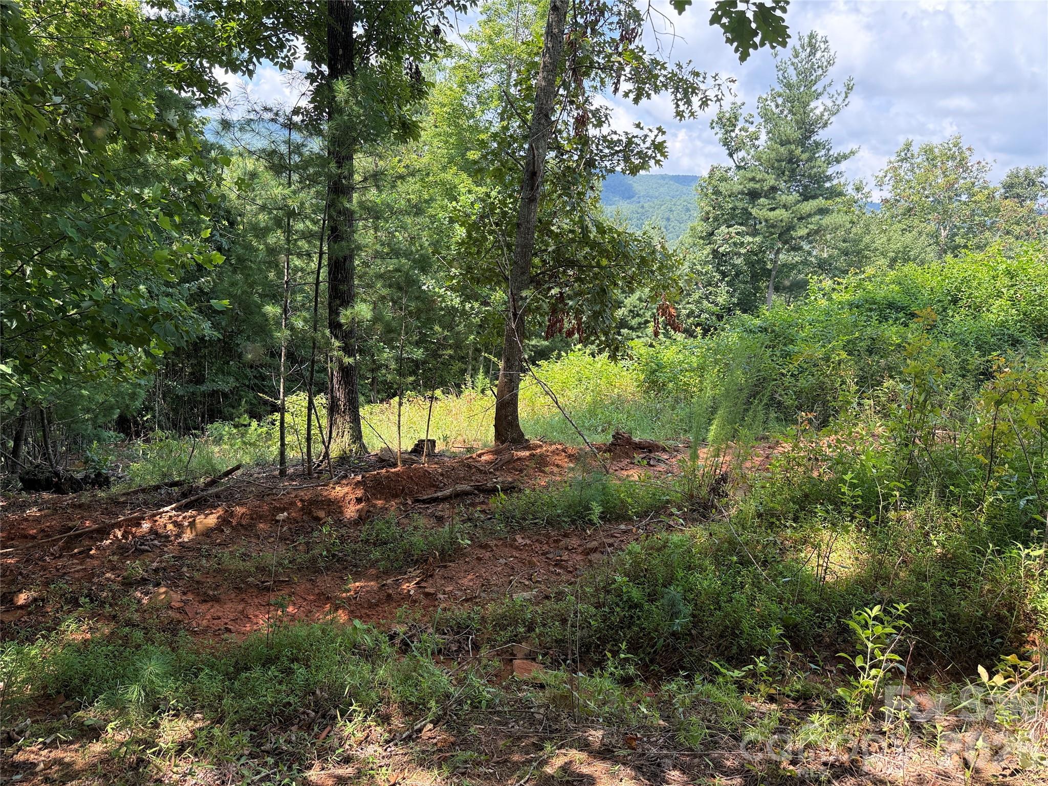 Tbd Lazy Bear Lane Purlear NC 28665